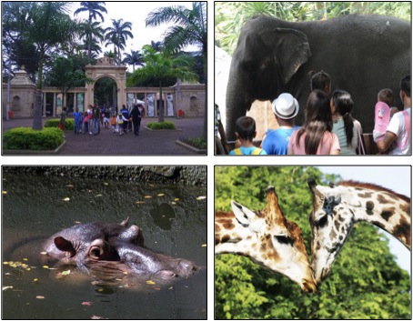 Zoológico Rio de Janeiro
