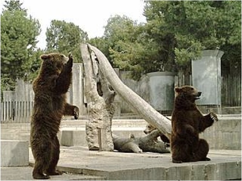 Zoo Madrid