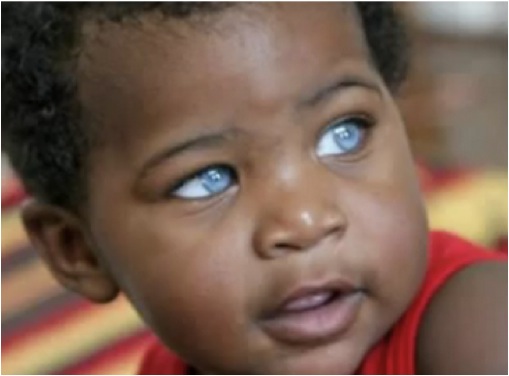 olhos4