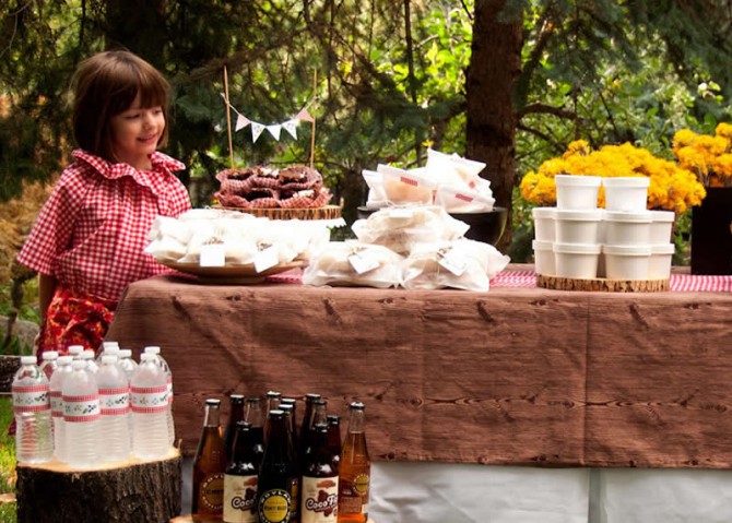 picnic-birthday-party-7