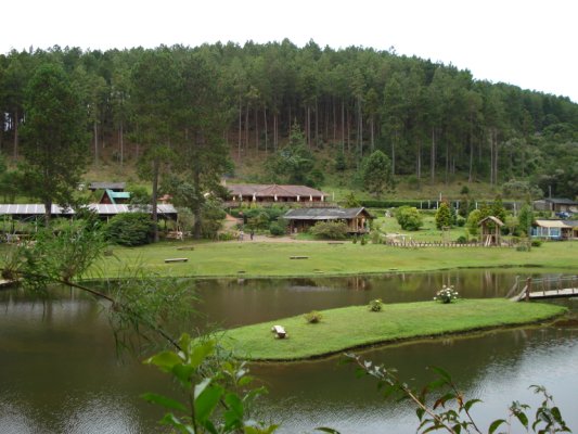 campos 6