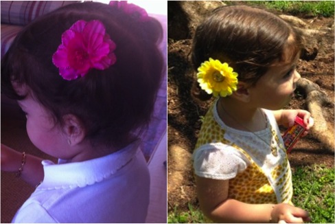 flores3