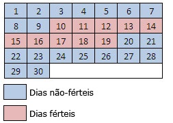 Dicas para quem está tentando engravidar - Just Real Moms