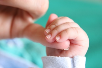 new born baby's hand
