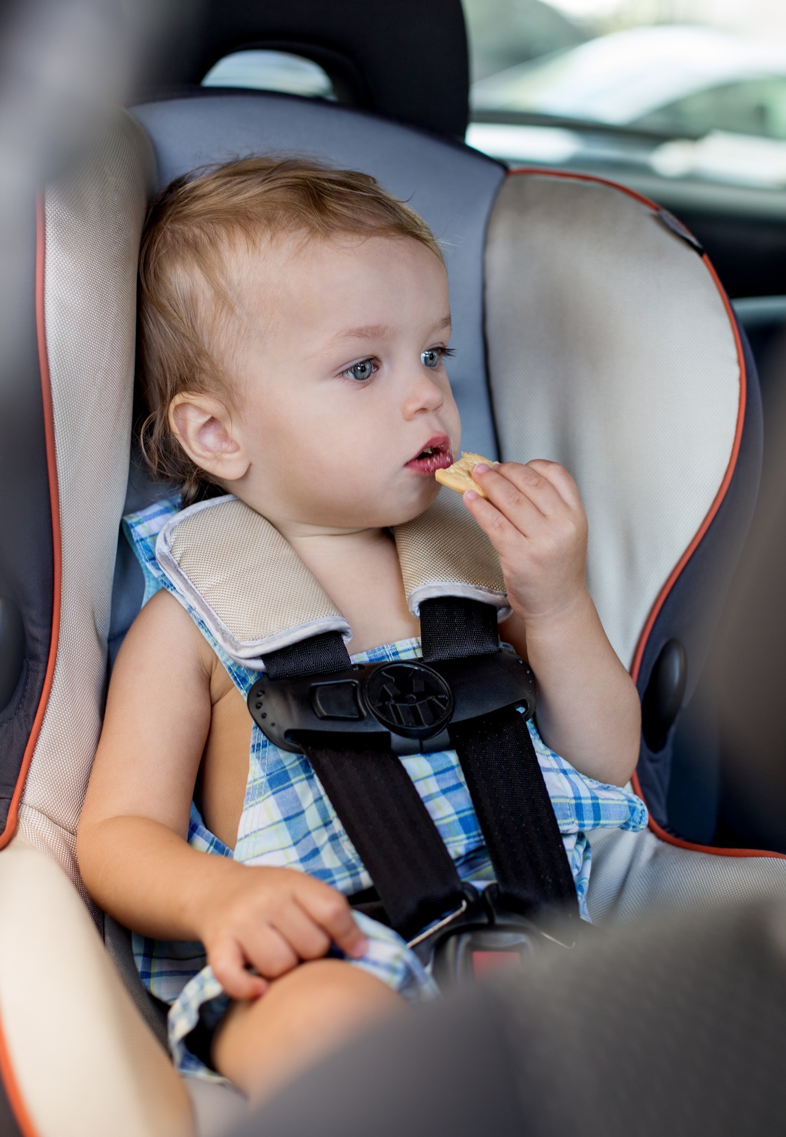 Happy toddler boy in car