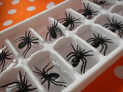 Forminhas de gelo com aranhas de plástico