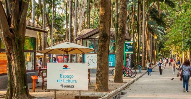 A melhor programação para crianças em São Paulo