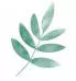 Folha Verde Dra. Renata Cortella Nutricionista Especialistas Just Real Moms