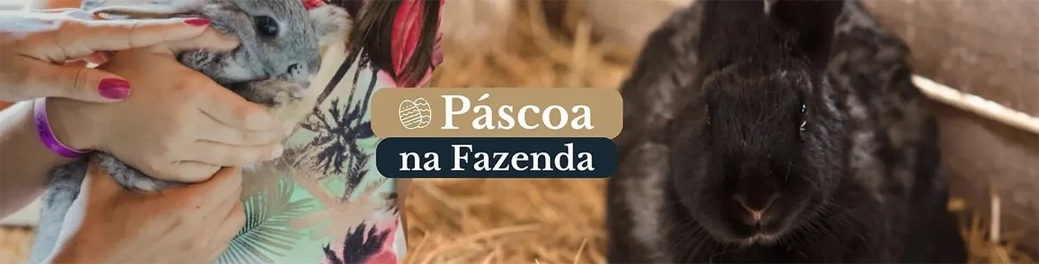 Banner do Hotel Fazenda Dona Carolina em Atibaia Banner do Hotel Fazenda Dona Carolina em Atibaia