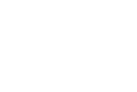 Bari Palesi