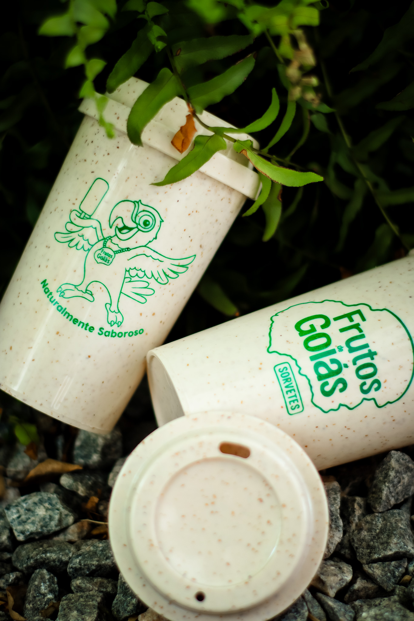 Copos de Fibra de Arroz